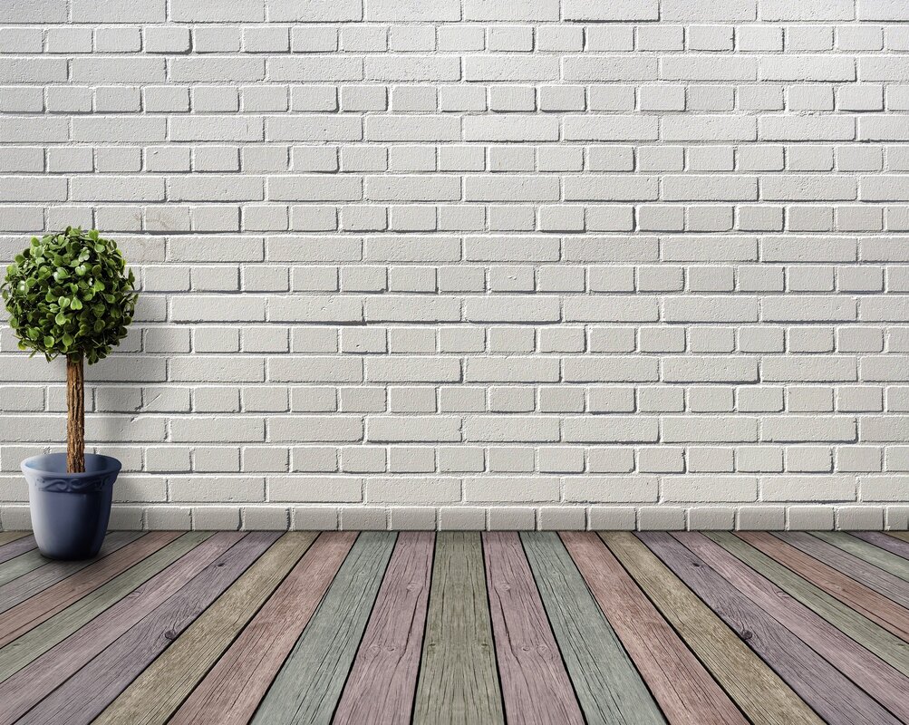 Picture of a masonry wall painted white with a small green interior plant and coloured floorboards